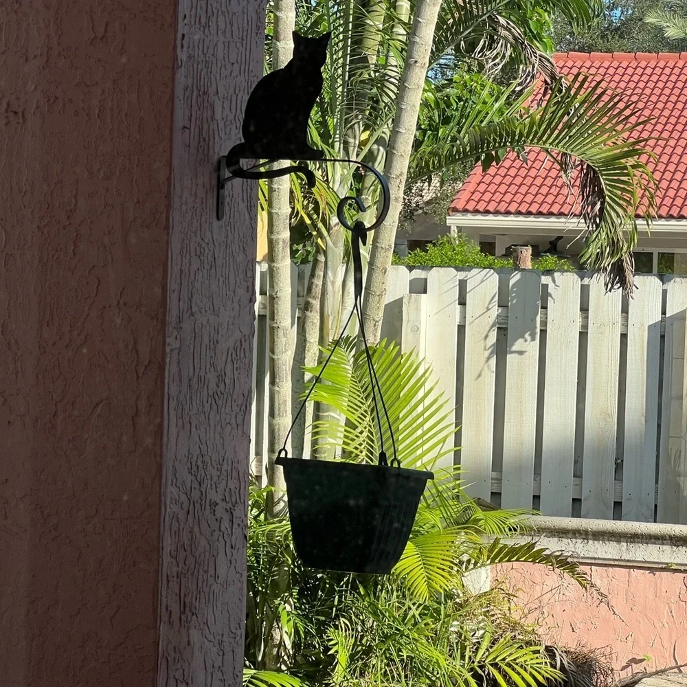 Black cat plant hangar